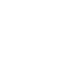 Non-GMO Ingredients logo